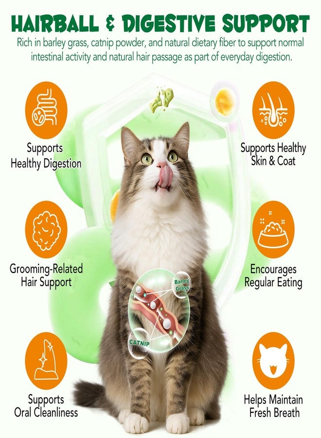 Arkture Cat Grass Treats, Cat Treats for Indoor Cats, Promotes Natural Hairball Passage, Reduce Plaque Build-Up Support Fresh Breath, Cats Dental Care Bites Kitten Snacks Training Biscuits, Catnip Flavour - Image 5