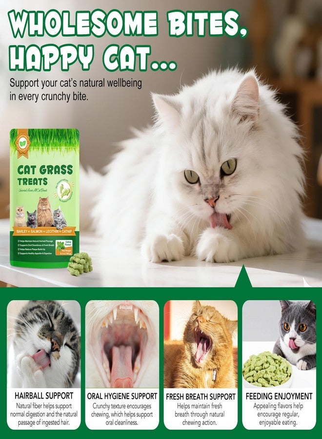 Arkture Cat Grass Treats, Cat Treats for Indoor Cats, Promotes Natural Hairball Passage, Reduce Plaque Build-Up Support Fresh Breath, Cats Dental Care Bites Kitten Snacks Training Biscuits, Catnip Flavour - Image 4