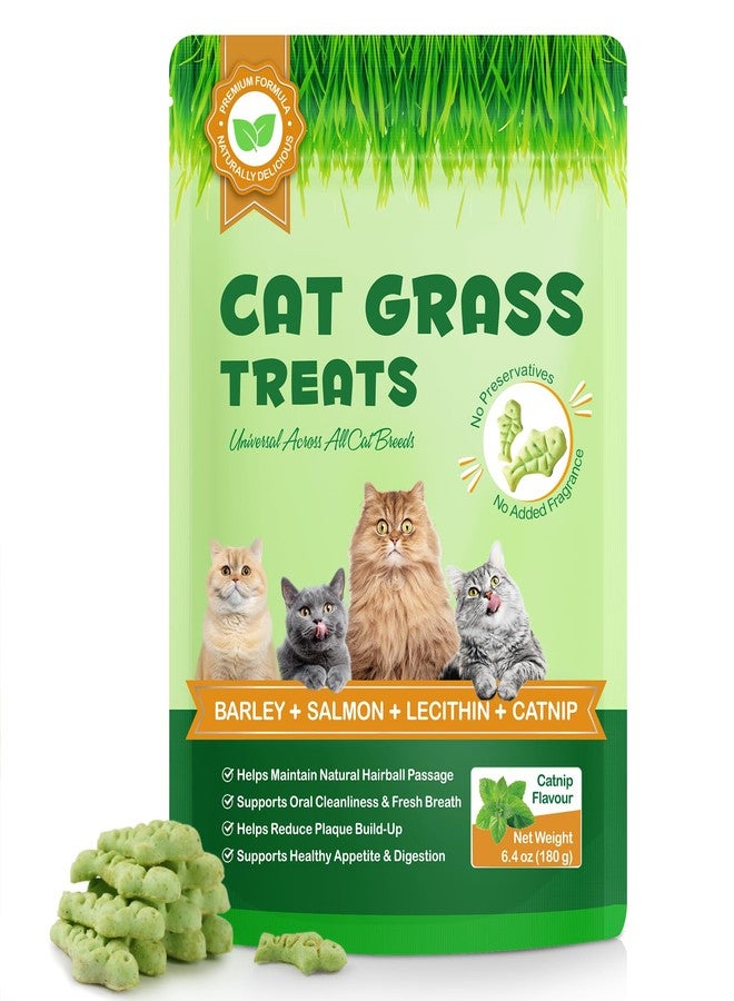 Arkture Cat Grass Treats, Cat Treats for Indoor Cats, Promotes Natural Hairball Passage, Reduce Plaque Build-Up Support Fresh Breath, Cats Dental Care Bites Kitten Snacks Training Biscuits, Catnip Flavour - Image 1