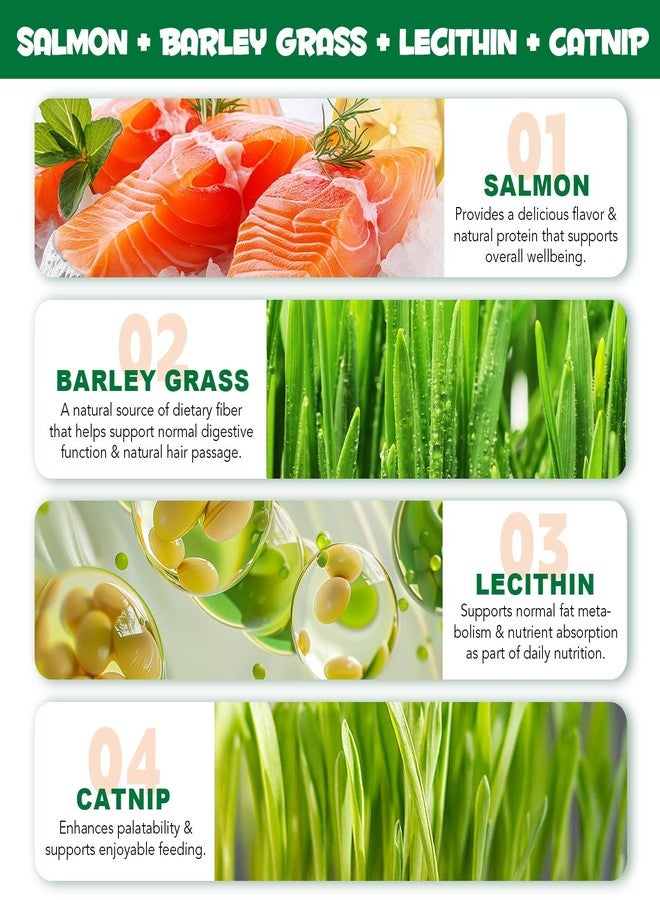 Arkture Cat Grass Treats, Cat Treats for Indoor Cats, Promotes Natural Hairball Passage, Reduce Plaque Build-Up Support Fresh Breath, Cats Dental Care Bites Kitten Snacks Training Biscuits, Catnip Flavour - Image 3