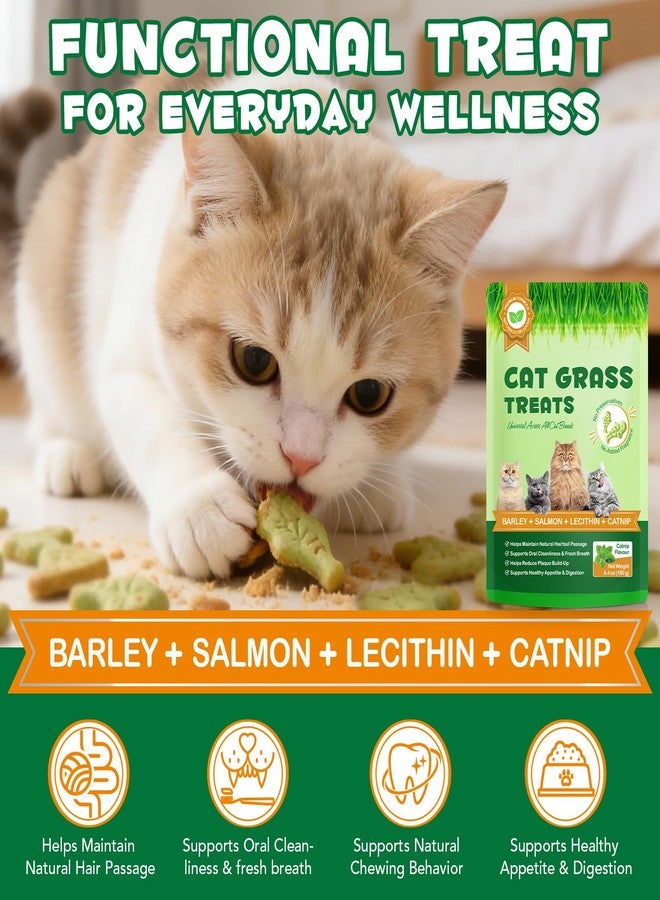 Arkture Cat Grass Treats, Cat Treats for Indoor Cats, Promotes Natural Hairball Passage, Reduce Plaque Build-Up Support Fresh Breath, Cats Dental Care Bites Kitten Snacks Training Biscuits, Catnip Flavour - Image 2
