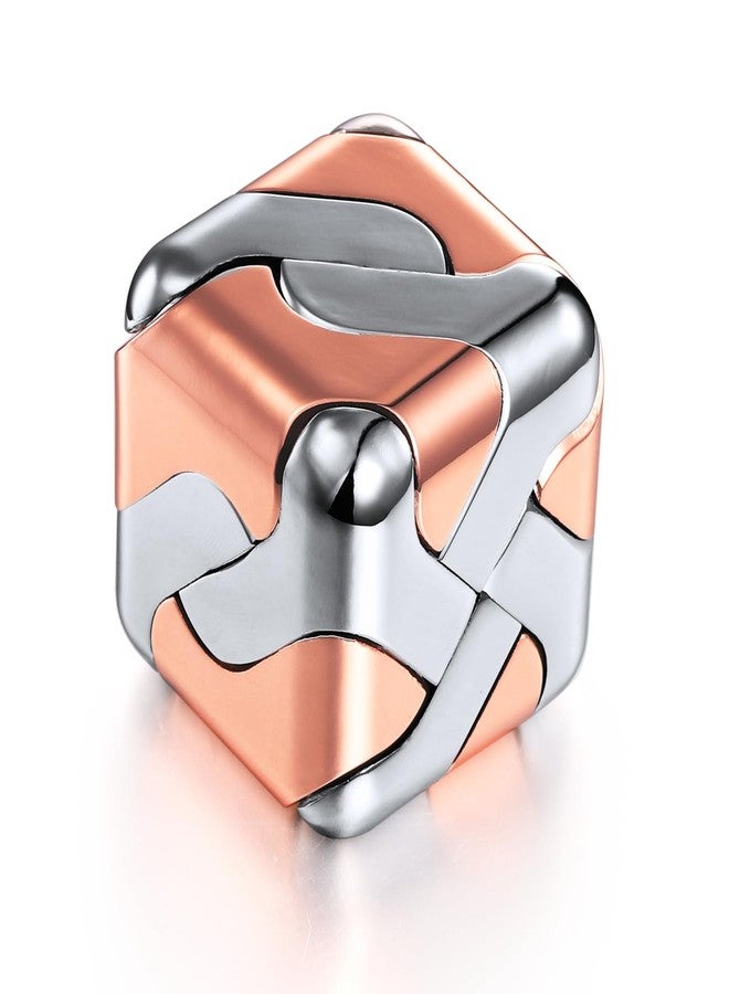 beheart Metal Puzzle 3D Cube Brain Teaser Puzzles - Image 1