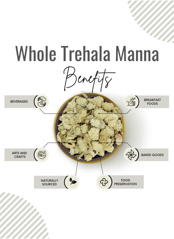 Awafi Mill Trehala Manna Whole Echinops Natural Resin  - Image 3