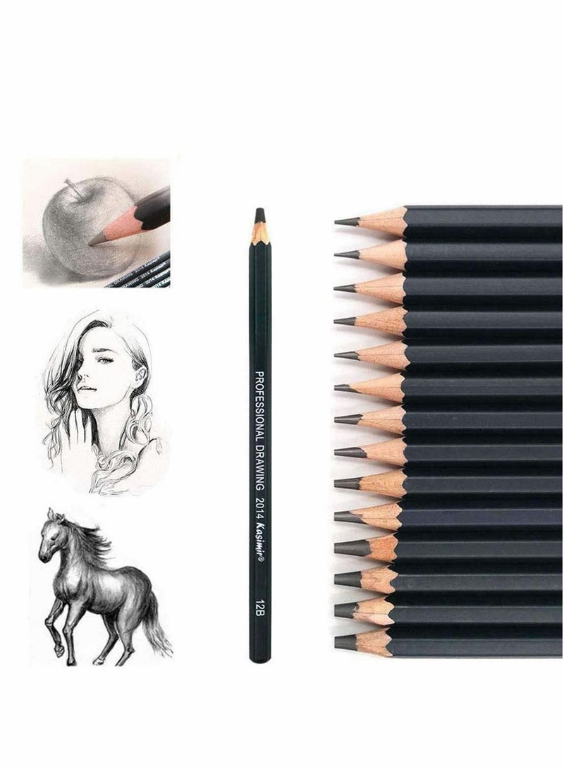 KASTWAVE Pencils Artist Sketching Set Drawing Pencils Set, 14pcs Sketching Pencils 12B 10B 8B 7B 6B 5B 4B 3B 2B B HB 2H 4H 6H Graphite Pencils for Adults Artists Student Beginners Professional - Image 1