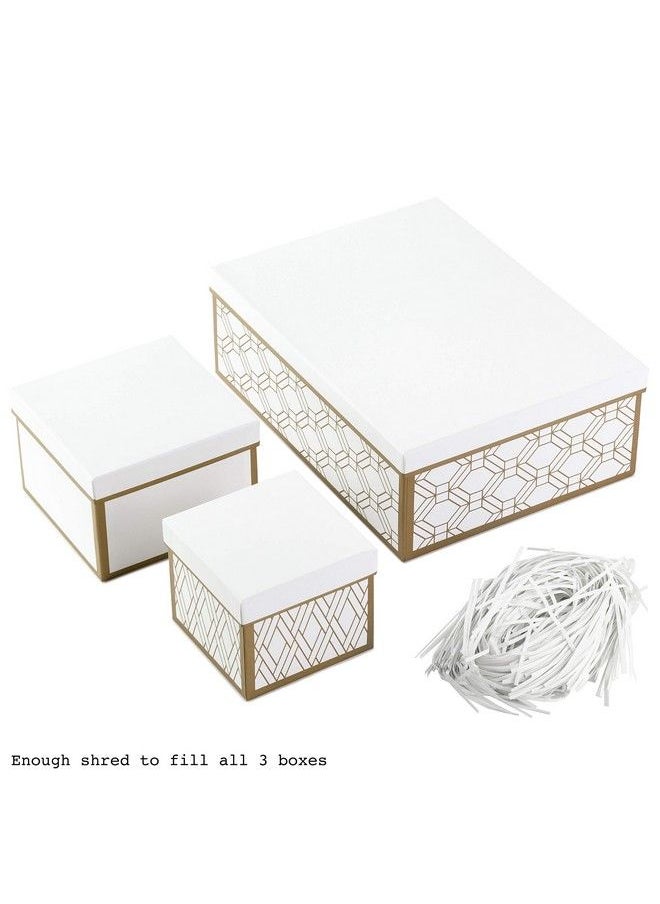 Hallmark Nested Gift Boxes With Lids And Fill (Set Of 3 White And Gold Assorted Sizes) For Valentine'S Day Weddings Bridal Showers And More  - Image 5