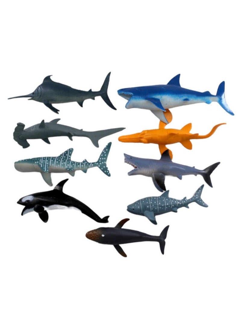 صندوق العاب نماذج حيوانات المحيط والمخلوقات البحرية ألعاب تعليمية للأطفال - Image 2