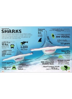 Our World in Numbers Animals: An Encyclopedia of Fantastic Facts  - Image 4