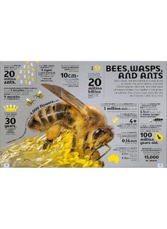 Our World in Numbers Animals: An Encyclopedia of Fantastic Facts  - Image 3