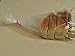 Decony Plastic bread and Grocery Clear Bag on Roll 12x20 1 Rollcs appx 350 bags with Free Twist Ties - Image 4