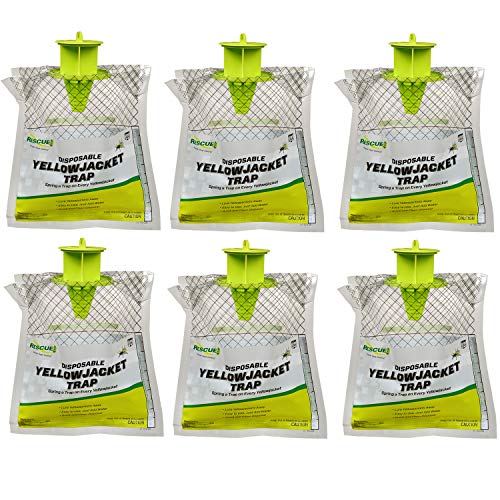 RESCUE! Disposable Summer Yellowjacket Trap - Central & Eastern Formula - 6 Traps - Image 1