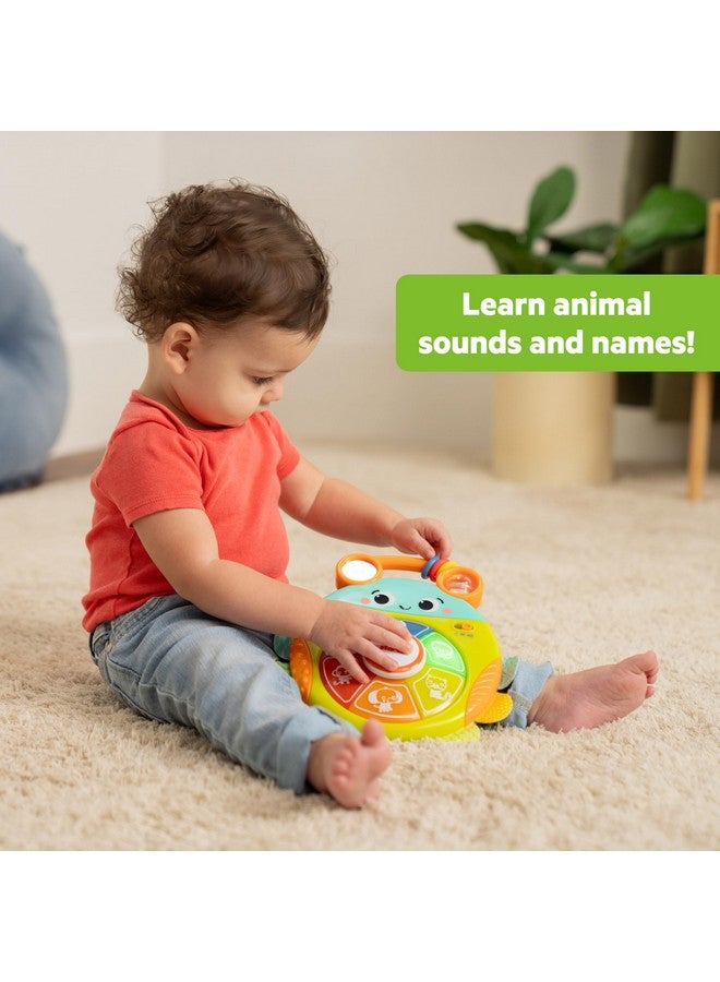 Bright Starts Safari Surprise Multisensory Toy, Light-Up Electronic Baby Toy with Animal Sounds and Melodies, Press for Cause and Effect Discovery, Unisex, 6 Months+ - Image 3