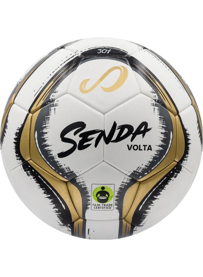 Senda Soccer Premier Series:Volta Professional, Size 5, Gold/Gray - Image 1