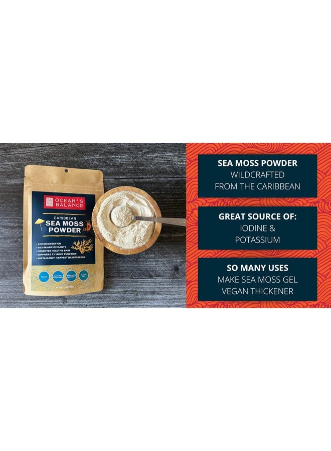 Ocean's Balance Clean Taste of Maine Ocean's Balance Clean Taste of Maine Sea Moss Powder (4oz) - Raw, Wildcrafted, Premium Quality - Supports Detox, Digestive Health, Immune System, Skin & Hair by Nature's Choice - Image 2