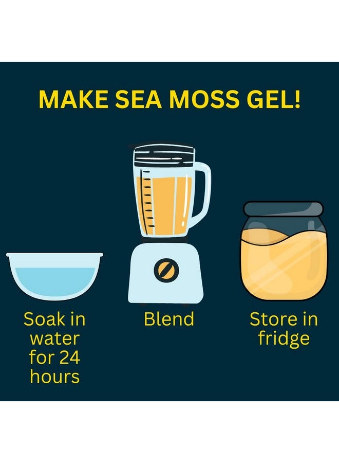 Ocean's Balance Clean Taste of Maine Ocean's Balance Clean Taste of Maine Sea Moss Powder (4oz) - Raw, Wildcrafted, Premium Quality - Supports Detox, Digestive Health, Immune System, Skin & Hair by Nature's Choice - Image 5