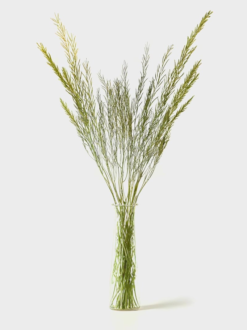 RUKDA Natural Dried Green Branches Long Real Stems for Vases Rustic Home Decor DIY Crafts Wedding Party Decor Office Living Room Decoration Pack of One - Image 4