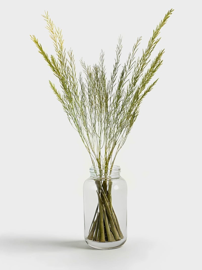 RUKDA Natural Dried Green Branches Long Real Stems for Vases Rustic Home Decor DIY Crafts Wedding Party Decor Office Living Room Decoration Pack of One - Image 5