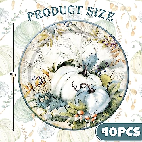 AnyDesign 40Pcs Fall Paper Plates Retro Teal Pumpkin Disposable Round Plates 9 inch Appetizer Dessert Plate for Autumn Thanksgiving Harvest Banquet Party Supplies - Image 3