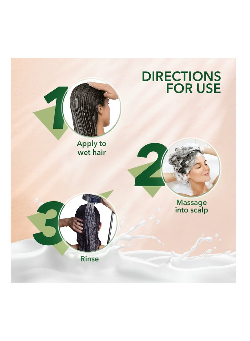 كيش كينج شامبو كيش كينج إمامي خالي من البارابين والسيليكون مع بروتين الحليب و21 أعشاب أيورفيدا لإصلاح الشعر الجاف والمجعد، 600 مل - Image 3