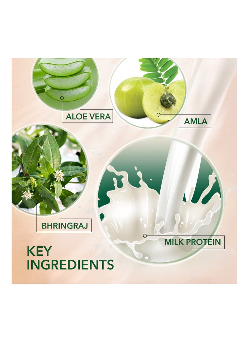 كيش كينج شامبو كيش كينج إمامي خالي من البارابين والسيليكون مع بروتين الحليب و21 أعشاب أيورفيدا لإصلاح الشعر الجاف والمجعد، 600 مل - Image 4