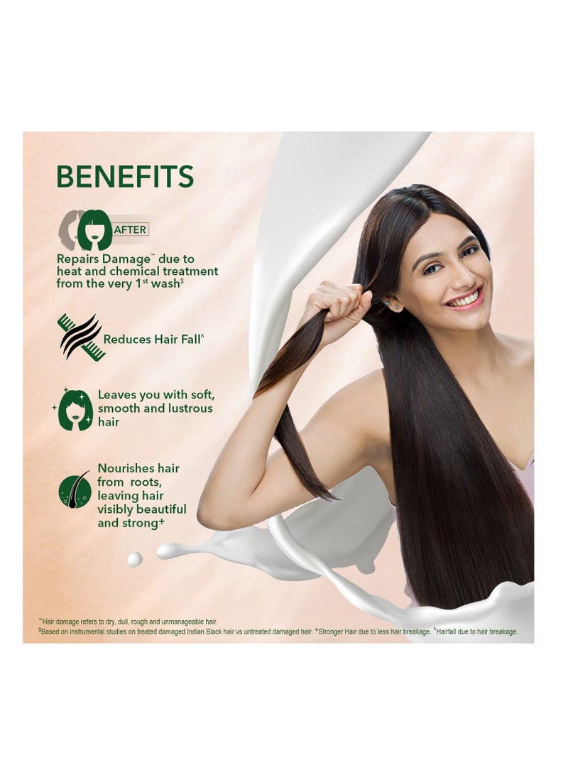 كيش كينج شامبو كيش كينج إمامي خالي من البارابين والسيليكون مع بروتين الحليب و21 أعشاب أيورفيدا لإصلاح الشعر الجاف والمجعد، 600 مل - Image 2