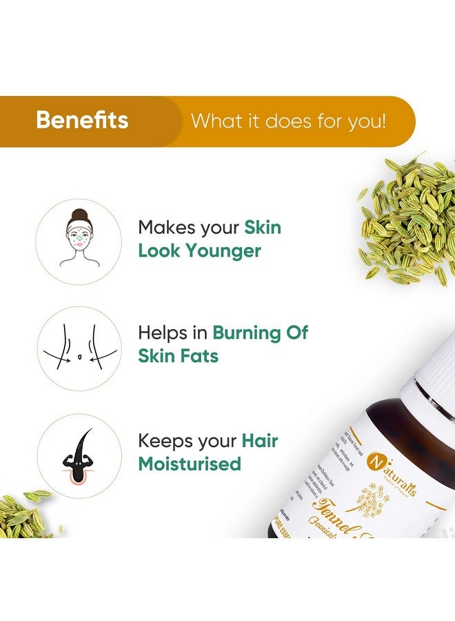 نيتشوراليس زيت بذور الشمر العطري من Essence Of Nature، طبيعي وذو درجة علاجية للعناية بالبشرة ومكافحة الشيخوخة ونمو الشعر - 10 مل - Image 4