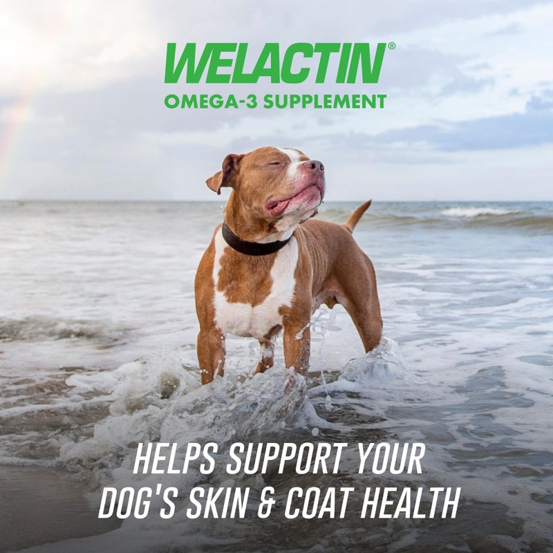Nutramax Laboratories Nutramax Welactin Omega 3 Fish Oil for Dogs, Skin and Coat Health Supplement, Plus Immune and Overall Health, Premium Omega 3 Fatty Acids, Multivitamin For Dogs, Soft Chews, 60 Count - Image 2