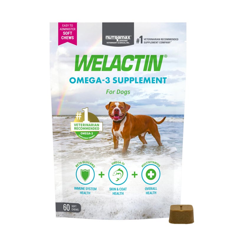 Nutramax Laboratories Nutramax Welactin Omega 3 Fish Oil for Dogs, Skin and Coat Health Supplement, Plus Immune and Overall Health, Premium Omega 3 Fatty Acids, Multivitamin For Dogs, Soft Chews, 60 Count - Image 1
