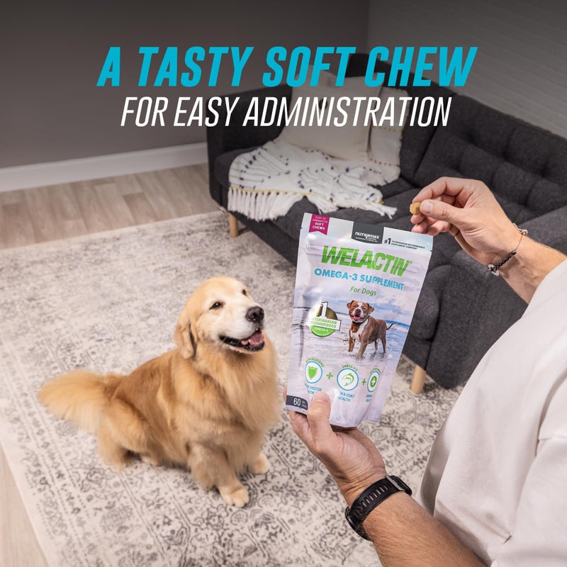 Nutramax Laboratories Nutramax Welactin Omega 3 Fish Oil for Dogs, Skin and Coat Health Supplement, Plus Immune and Overall Health, Premium Omega 3 Fatty Acids, Multivitamin For Dogs, Soft Chews, 60 Count - Image 3