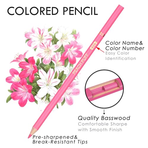 ZZWUAPT Skin Tone Colored Pencils,Oil Based Wooden Colored Pencil Set for Adults Coloring Books Drawing Sketching Art Supplies 24 Color - Image 4