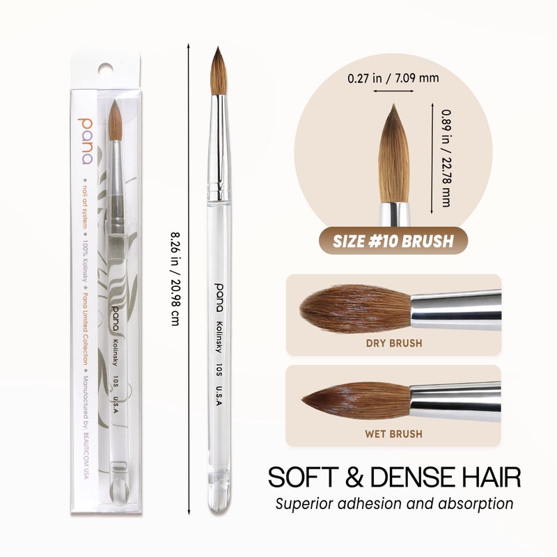 PANA Pure Kolinsky Hair Nail Brush - Round Clear Acrylic Handle (Size 10) - Nail Brush for Nail Application, Nail Extension, Manicure Pedicure Salon Beginner and Professional - Image 3