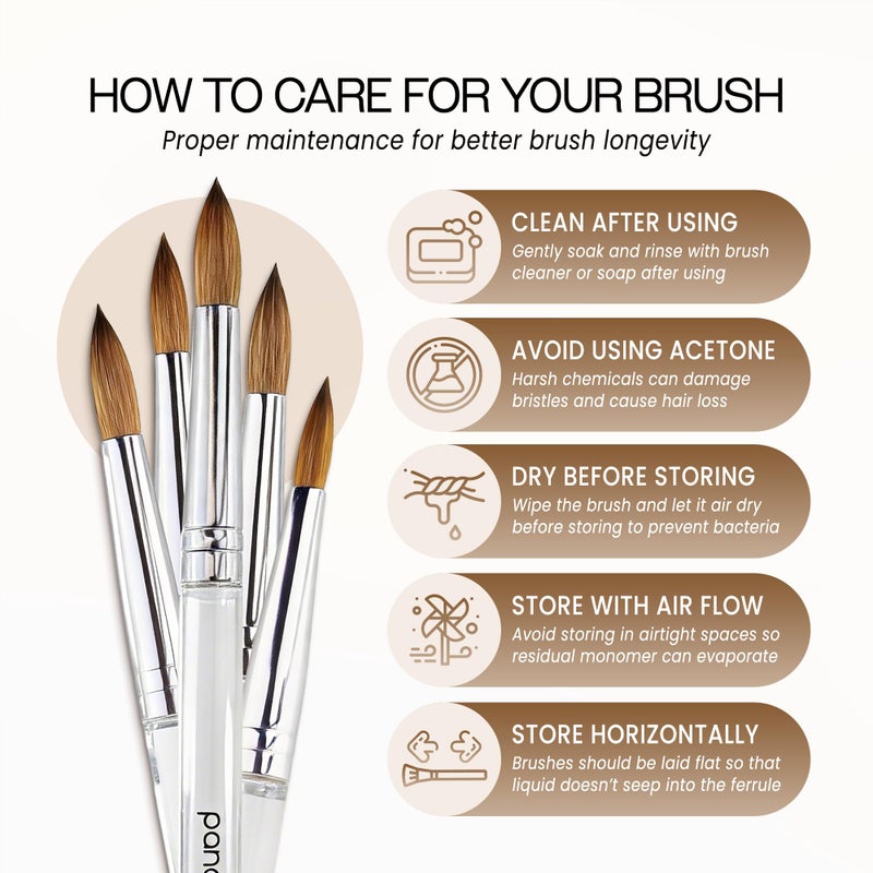 PANA Pure Kolinsky Hair Nail Brush - Round Clear Acrylic Handle (Size 10) - Nail Brush for Nail Application, Nail Extension, Manicure Pedicure Salon Beginner and Professional - Image 5
