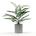 Velener Velener 15" Artificial Potted Green Leaf Plant in Pot for Desk Top Decor (Taro Leaf)  - Image 2
