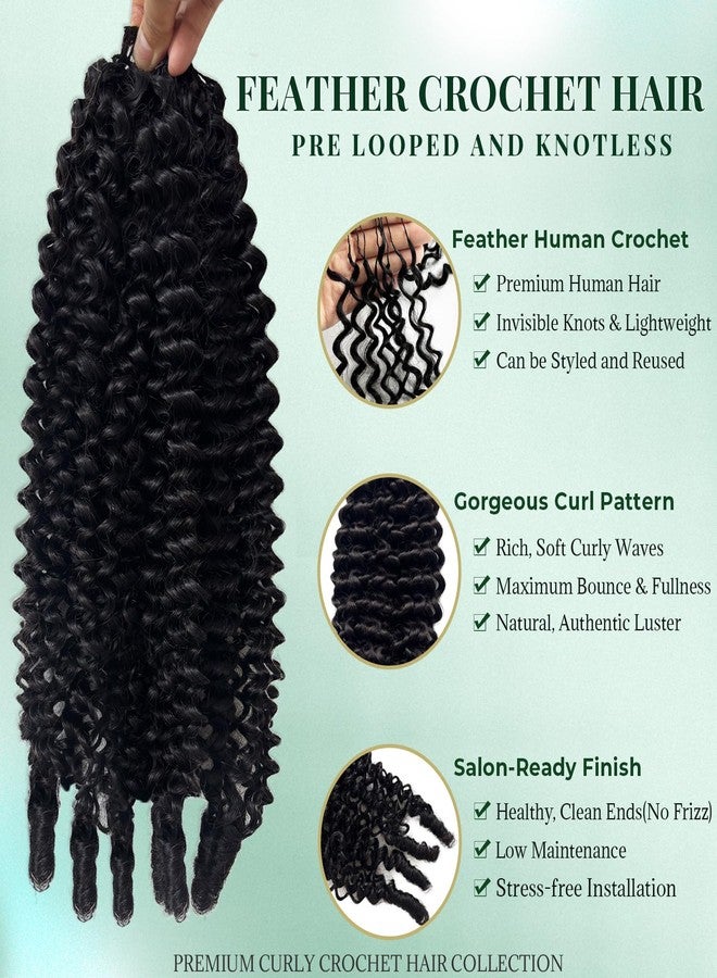 Licoville Burmese Curly Crochet Hair for Black Women, 14 Inch 60G Invisible Burmese Curly Feather Crochet Human Hair Extensions Pre Separated Knotless Crochet Curly Hair Bundles Medium to High Volume - Image 2