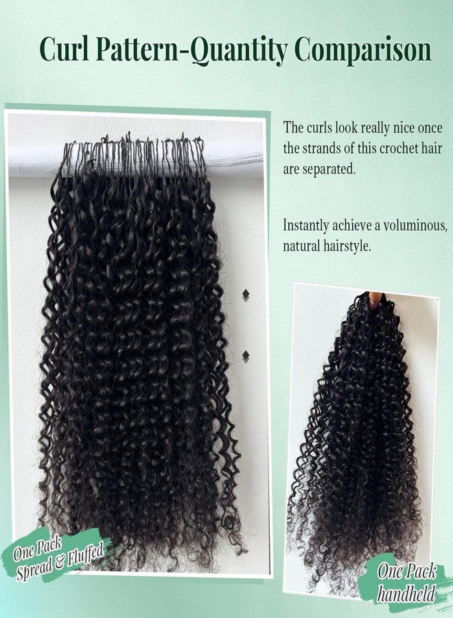 Licoville Burmese Curly Crochet Hair for Black Women, 14 Inch 60G Invisible Burmese Curly Feather Crochet Human Hair Extensions Pre Separated Knotless Crochet Curly Hair Bundles Medium to High Volume - Image 5