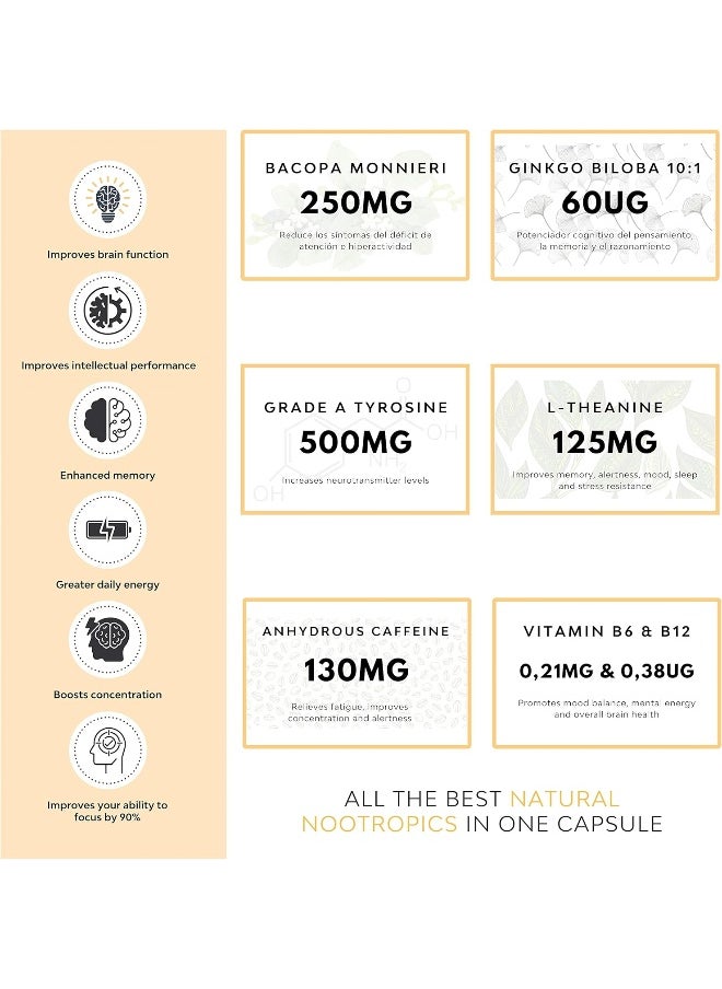 QSTA - Nootropic Focus, Very High Potency Daily Cognitive Enhancer - Image 1