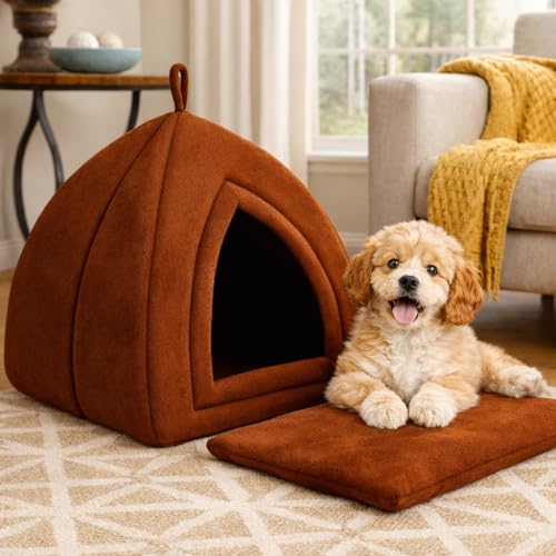 ZEXSAZONE Premium Summer Soft Velvet Pet Hut House | for Cats, Kittens and Small Dogs Puppey | with Reversible Cushion | Washable Cozy and Comfortable | Small | 40 x 40 x 42 cm & Coffee Color - Image 2