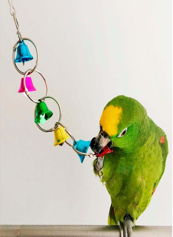 Fejapa 3 Pack Bird Bells Toy Chewing Hanging Ring Toy Cage Bite for Pet Budgie Parakeet Cockatiel Conure Macaw African Grey Eclectus Cockatoo Finches Lovebird Quaker Parrot Finch Canary - Image 4