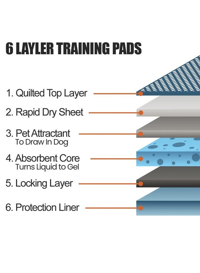 بي في فوط بي في للجراء مانعة للتسرب، ٥٠ قطعة، ٢٢ × ٢٢ بوصة | فوط سريعة الامتصاص، ٦ طبقات، لتدريب الجراء على التبول. - Image 4