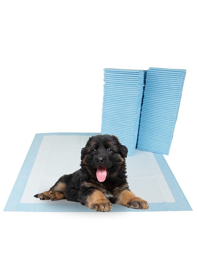 بي في فوط بي في للجراء مانعة للتسرب، ٥٠ قطعة، ٢٢ × ٢٢ بوصة | فوط سريعة الامتصاص، ٦ طبقات، لتدريب الجراء على التبول. - Image 1