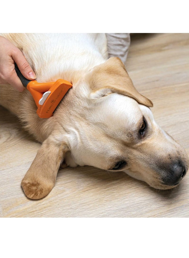 FURminator Undercoat deShedding Tool for Small Short Hair Dogs 4 5 9 kg - Image 4