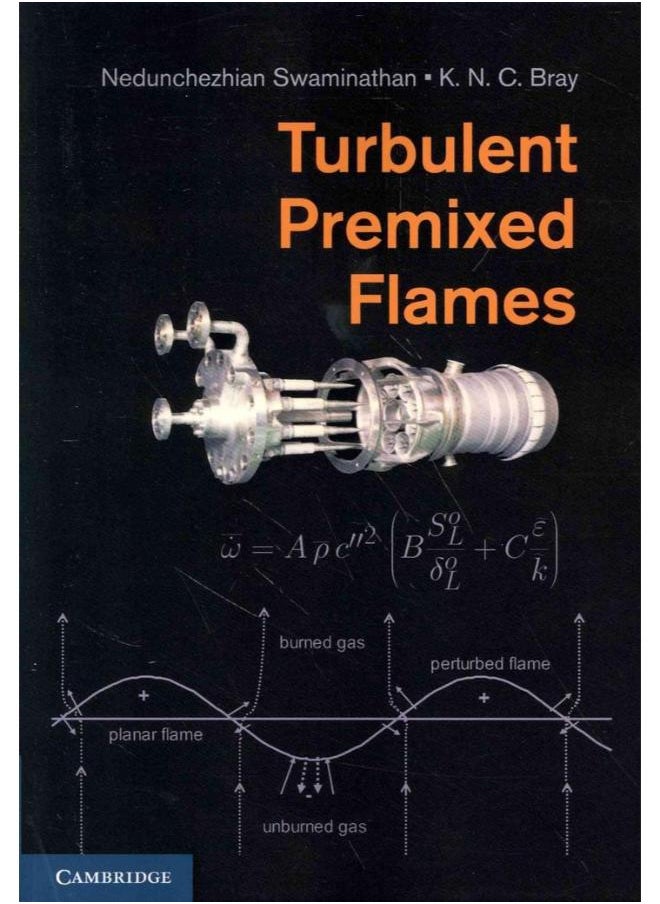 Turbulent Premixed Flames 