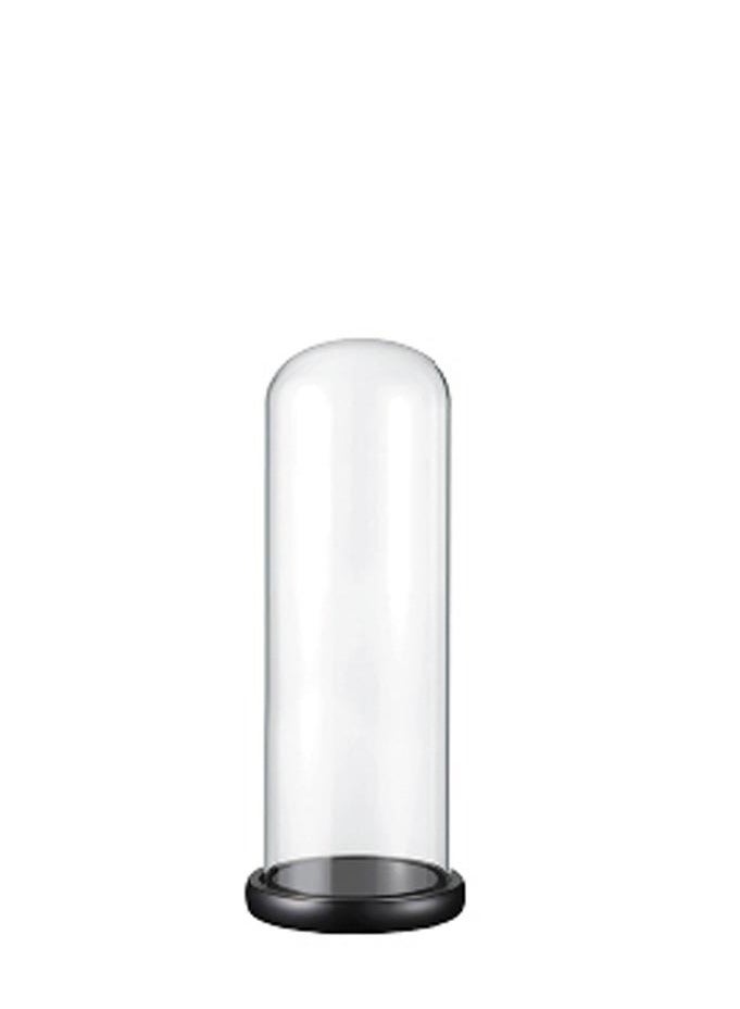 Modern Dome Vase with Wooden Base 8.5 x 20.5 cm for flowers or dÃ©cor, perfect for home or event styling