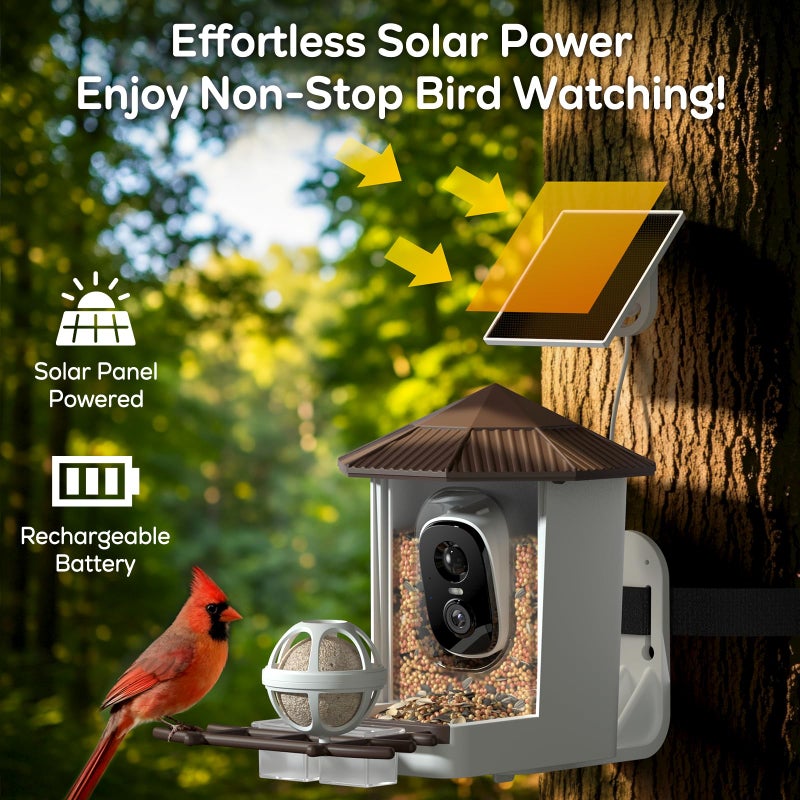 Wansview Bird Feeder With Camera-Smart Bird Feeders For Outdoors Solar Powered  Birdhouse With Cam & Instant Alert  2K Live Video  Ai Identify Species  Ideal Gift For Tech Lovers  F1  Brown  2.4G Wifi - Image 5