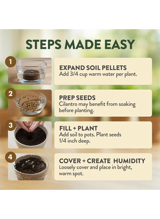 HOME GROWN طقم زراعة الأعشاب الداخلية – هدية عيد الميلاد الفريدة للبالغين، الرجال، والنساء - ازرع 4 بذور أعشاب عتيقة على نافذة المطبخ – هدية حرفية وهواية للبدء لمحبي النباتات - Image 4