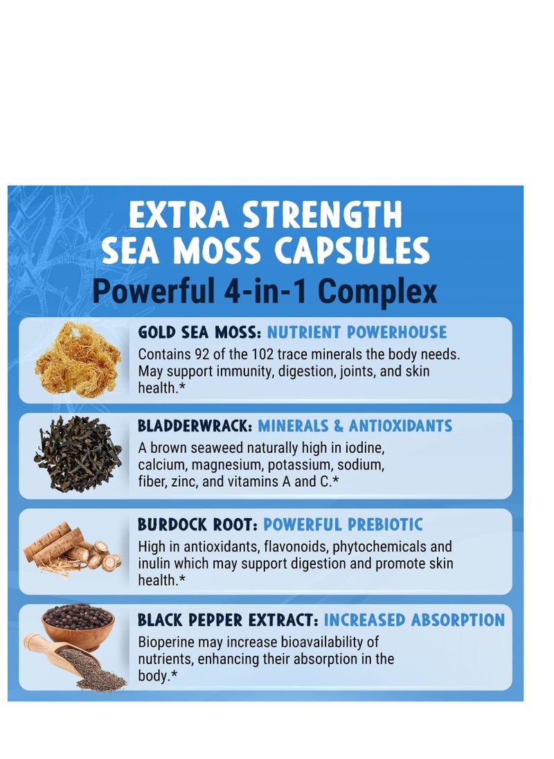 Maju Superfoods - ماجو سوبرفوودز طحالب بحرية برية 4 في 1 قوة إضافية مستخلص الفلفل الأسود من نبات الطحالب البحرية 60 كبسولة - Image 1