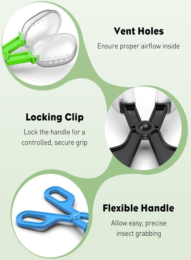 باوفلي مجموعة أدوات Pawfly الثلاثية لإطعام الزواحف: مشبك، مجرفة حشرات، مجرفة بلاستيكية لفضلات الزواحف، أدوات إطعام وتنظيف الزواحف في أحواض الزواحف (السحلية، التنين الملتحي، الوزغة، الثعبان)، 3 ألوان - Image 5