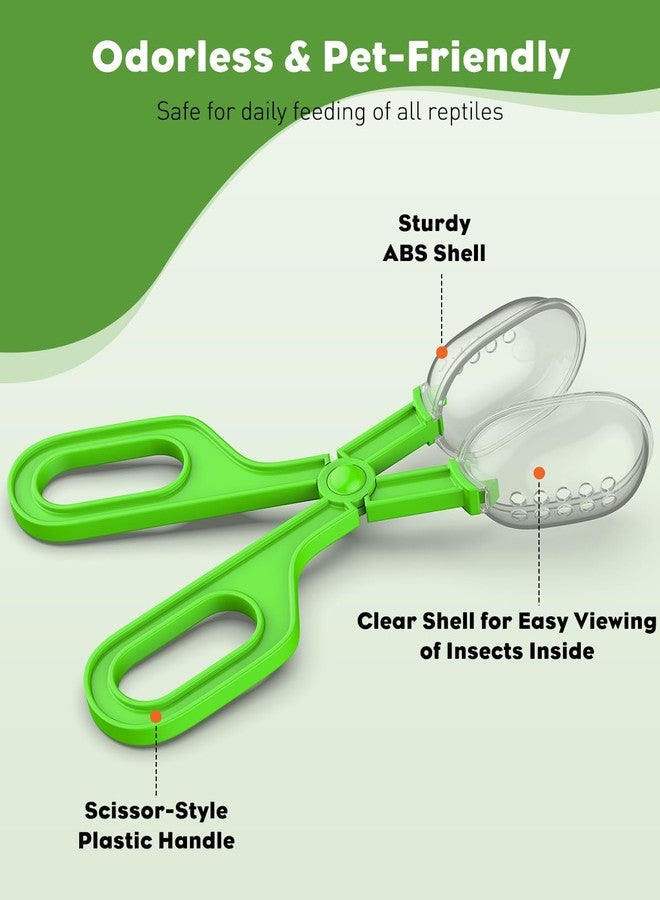 باوفلي مجموعة أدوات Pawfly الثلاثية لإطعام الزواحف: مشبك، مجرفة حشرات، مجرفة بلاستيكية لفضلات الزواحف، أدوات إطعام وتنظيف الزواحف في أحواض الزواحف (السحلية، التنين الملتحي، الوزغة، الثعبان)، 3 ألوان - Image 4