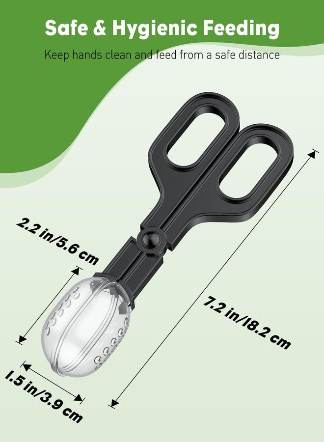 باوفلي مجموعة أدوات Pawfly الثلاثية لإطعام الزواحف: مشبك، مجرفة حشرات، مجرفة بلاستيكية لفضلات الزواحف، أدوات إطعام وتنظيف الزواحف في أحواض الزواحف (السحلية، التنين الملتحي، الوزغة، الثعبان)، 3 ألوان - Image 2