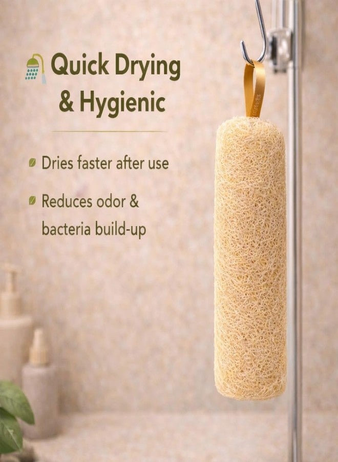 ink craft Natural Loofah Scrubber for Bathing - 100% Organic Dried Luffa Sponge - Body Loofah Scrubber for Men & Women - Back & Body Scrubber - Exfoliating Bath Sponge - (Pack of 2/Cylindrical) - Image 3
