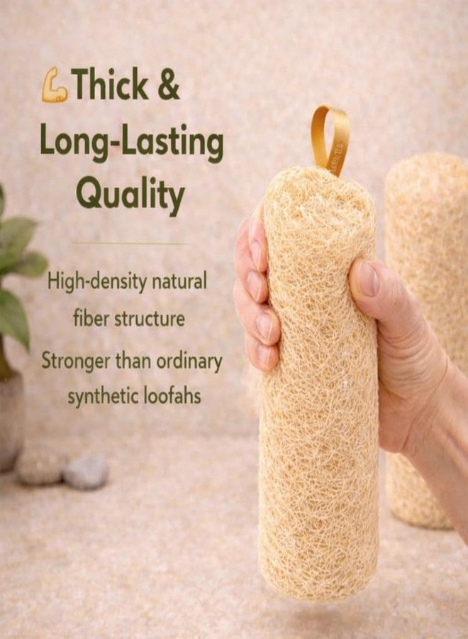 ink craft Natural Loofah Scrubber for Bathing - 100% Organic Dried Luffa Sponge - Body Loofah Scrubber for Men & Women - Back & Body Scrubber - Exfoliating Bath Sponge - (Pack of 2/Cylindrical) - Image 4